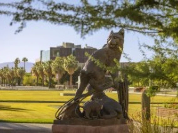 a statue of a bobcat with a field of grass in the background