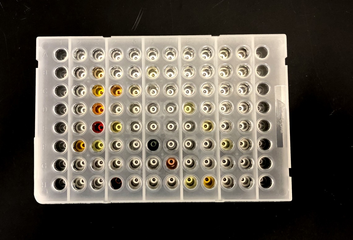 96-well plate of compounds