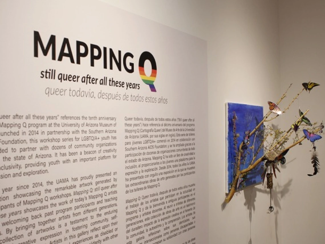 museum display featuring an essay on the mapping q program and artwork of butterflies on a tree branch